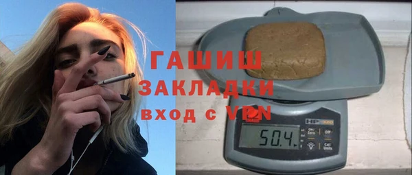 индика Балахна