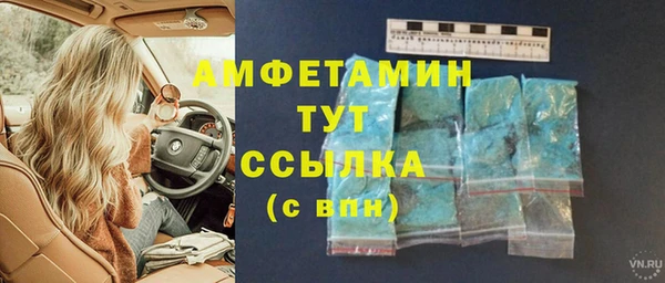индика Балахна
