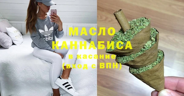 индика Балахна