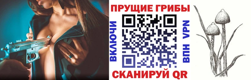 Галлюциногенные грибы мухоморы Ишим