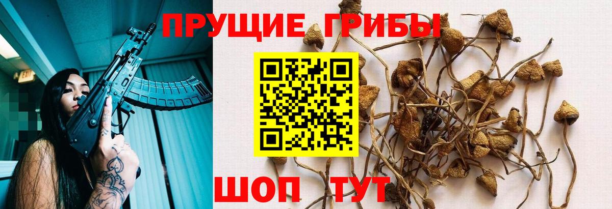 Псилоцибиновые грибы мухоморы  Вход с VPN  Псилоцибиновые грибы ЛСД  Ишим 